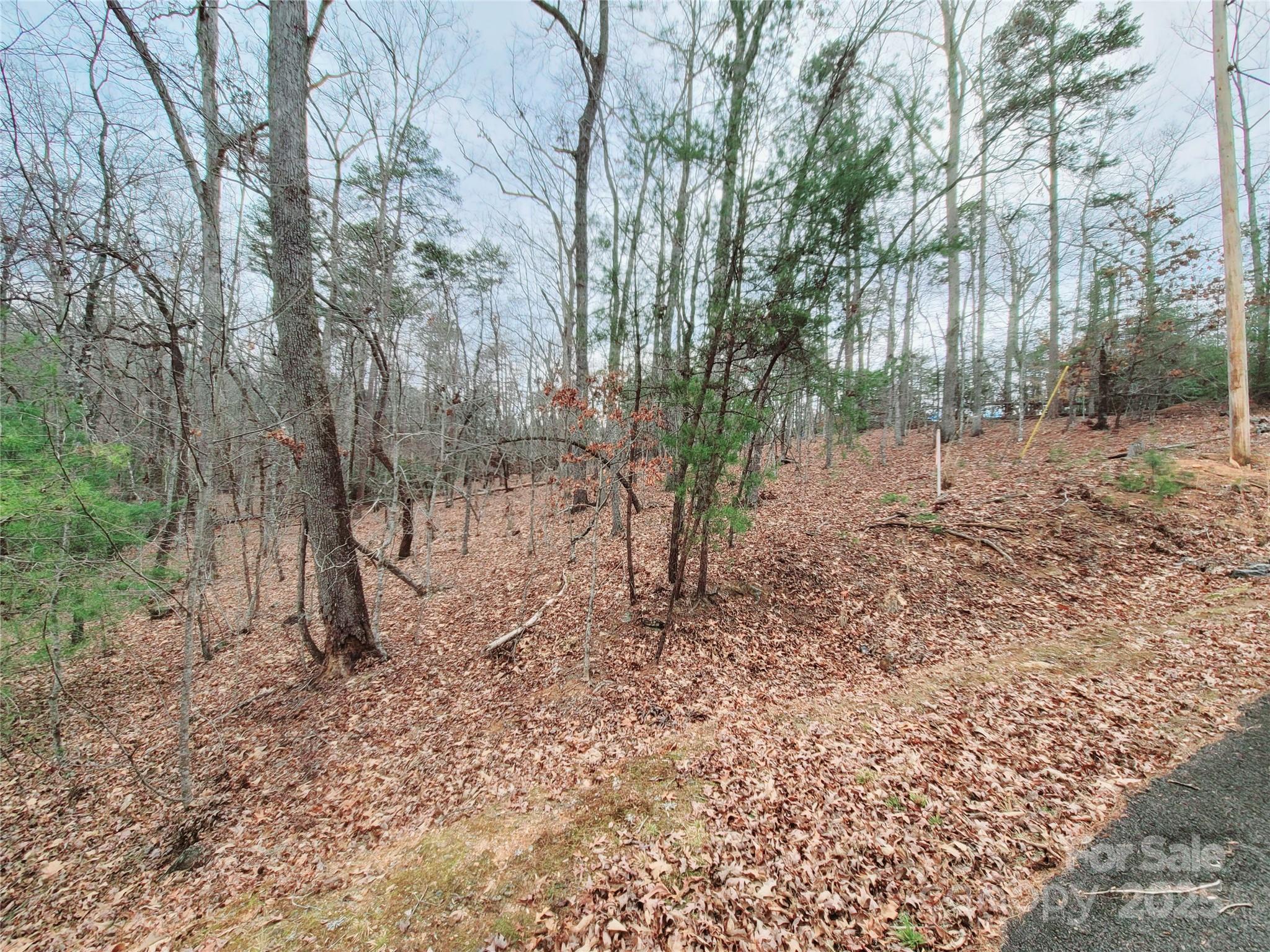 Riverbend at Lake Lure - Land