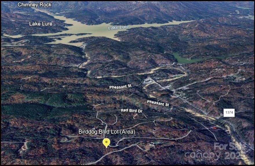 Tucked inside the gated community of Riverbend at Lake Lure, this exceptional +/-1.24-acre homesite offers the perfect blend of privacy, value, and lifestyle — all at a price point that stands out in today’s market. Gently sloping and highly buildable, the lot features a peaceful creek along the lower boundary, seasonal mountain views, and an elevated setting near the top of the community for added serenity.

What truly sets this property apart is the rare combination of low HOA fees and nature-centered amenities — giving you more freedom and more value than many surrounding options. Riverbend residents enjoy access to two private lakes, the Broad River, scenic hiking and biking trails, a beach area, natural swimming hole, and a pavilion with grills — all thoughtfully designed to preserve the natural beauty that makes this community so special.

The location offers the best of both worlds: immersed in nature, yet just minutes from Lake Lure, Chimney Rock, charming local towns, and quality golf courses nearby. The well-maintained gravel roads gently wind through the community, creating that true mountain-escape feeling as you’re welcomed by trees, quiet surroundings, and open views — a setting that speaks to those who value peace, space, and the outdoors over crowded resort living.

Adding even more peace of mind, this lot sits within a gated community and also borders another protected area — giving you the comfort of knowing your surroundings are thoughtfully maintained on both sides, without sacrificing your sense of privacy or space.

For those who balance mountain life with travel, this location also offers convenient access to Asheville Regional Airport and Charlotte Douglas International Airport, making it ideal for second-home owners, remote professionals, or buyers considering future rental potential with easy national and international connectivity.

With Lake Lure experiencing renewed energy and buyer activity, opportunities like this — buildable, scenic, private, and well-priced — are becoming harder to find. Whether you’re dreaming of a mountain getaway or a full-time retreat, this homesite delivers the setting, the amenities, and the value to make it happen.