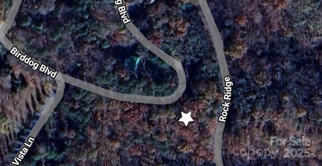 0 Birddog Boulevard 328