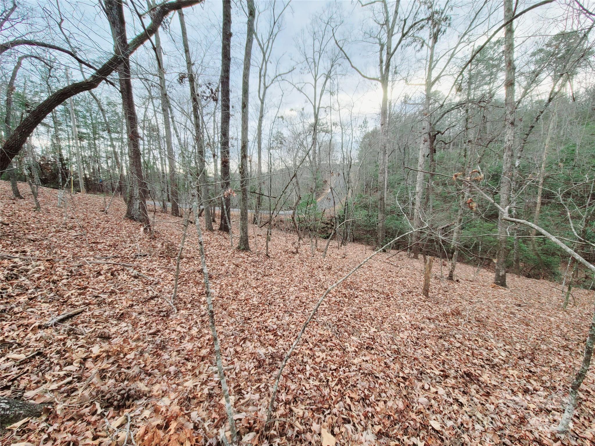 Riverbend at Lake Lure - Land