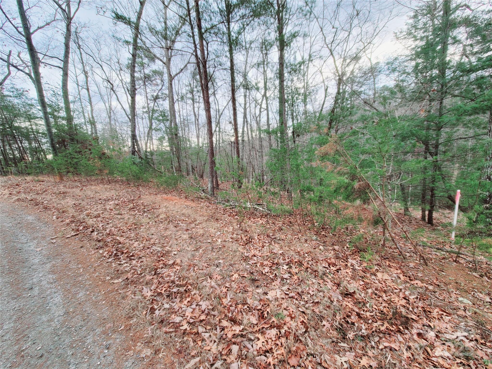 Riverbend at Lake Lure - Land