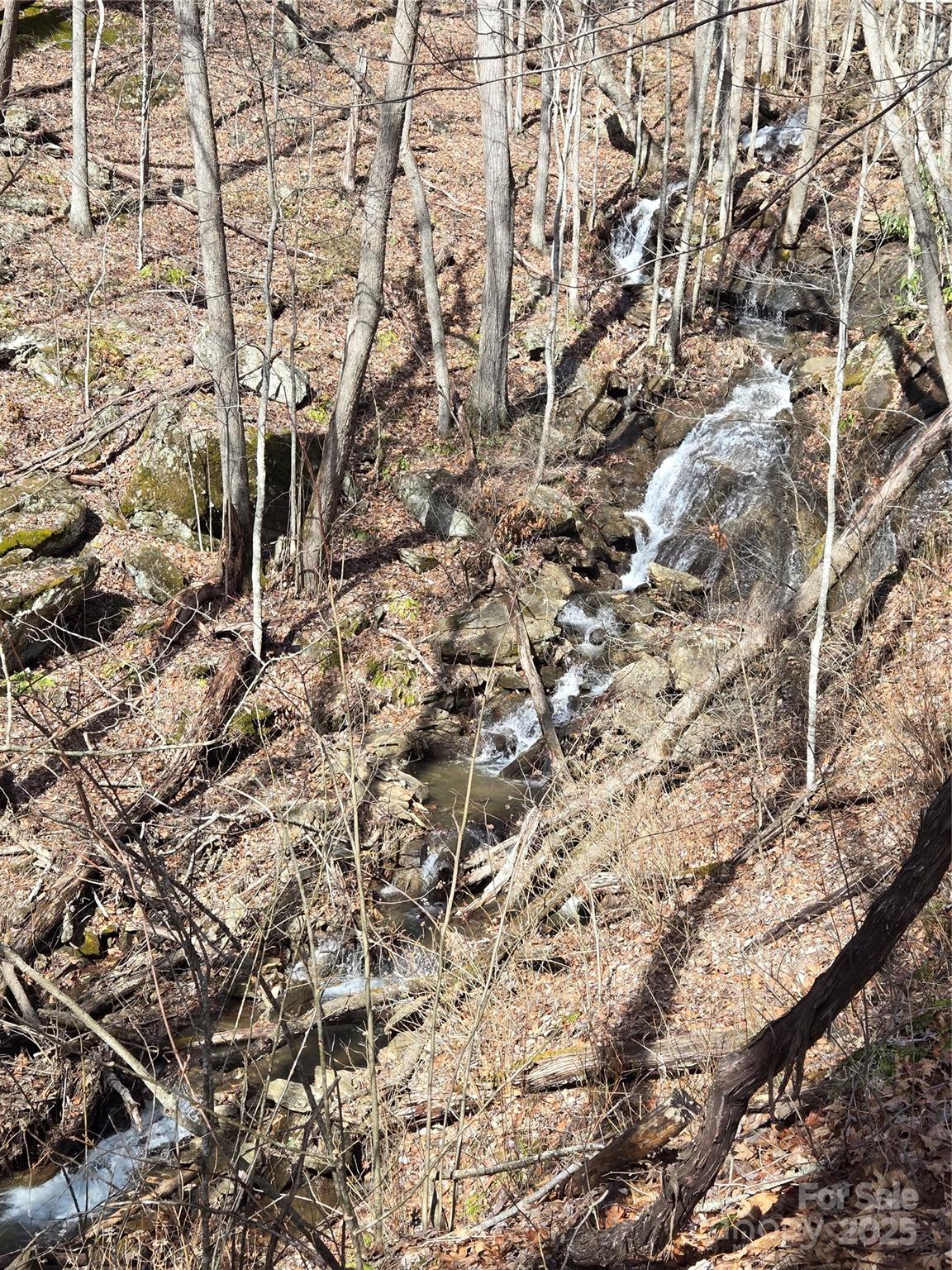0 Buffalo Ridge