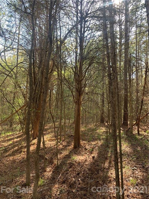 Mooreland Wood - Land