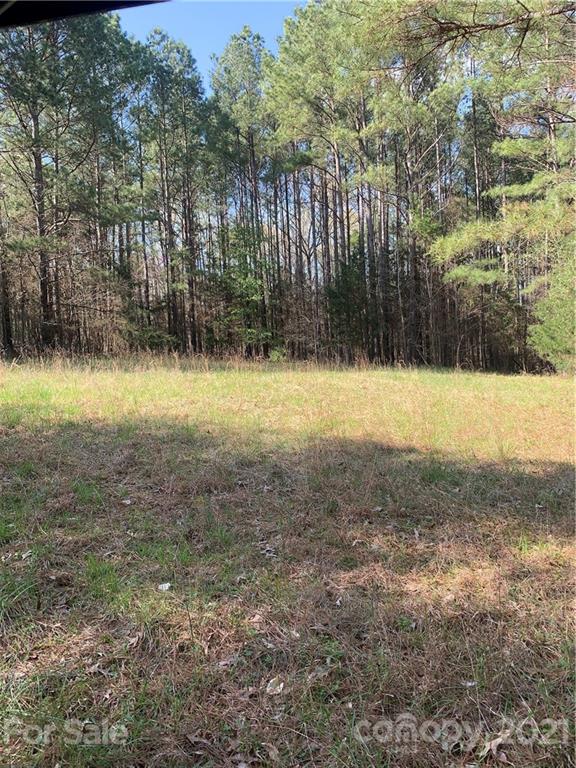 Mooreland Wood - Land