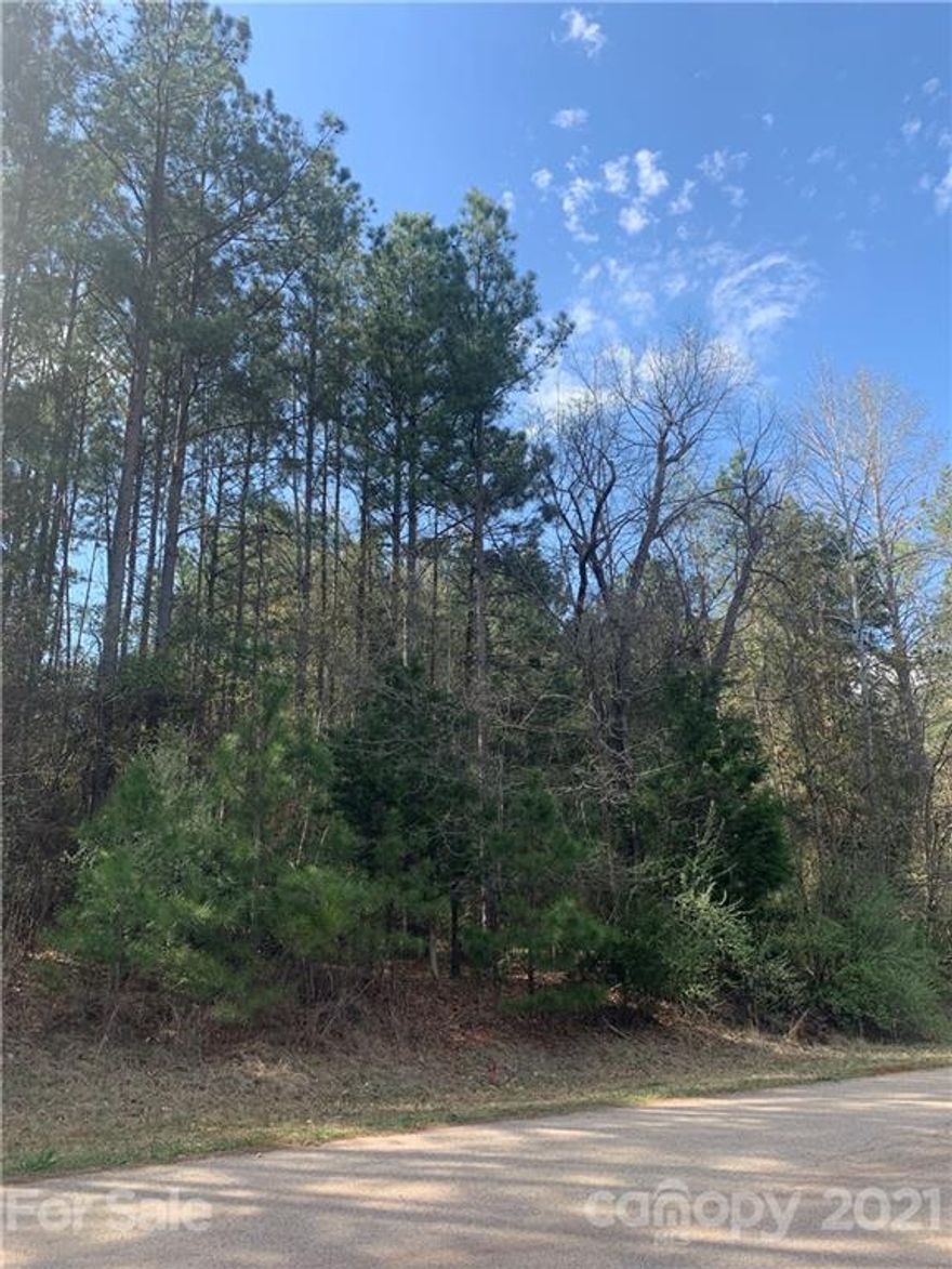 Beautiful Hardwoods adorn this PREMIUM 5.03 acre lot private equestrian friendly neighborhood located in the quaint Town of Van Wyck w/close proximity to developing town center and new high and elementary school. This Private Wooded Lot 4 is across from the trailhead for quick access to an equestrian/walking trail system bordering entire neighborhood with views of 12 mile creek and Community's Private stocked fishing Lake. A Pre-perk site test has been done. Lot is in the of Van Wyck but has a Lancaster address. Pictures tell the story...