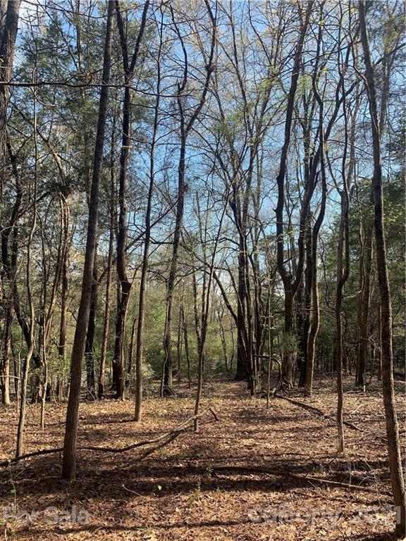 Mooreland Wood - Land