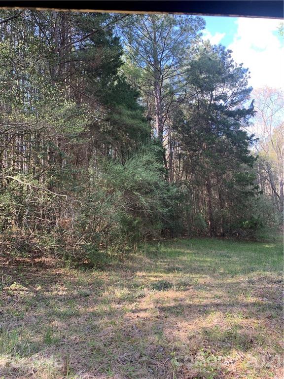 Mooreland Wood - Land