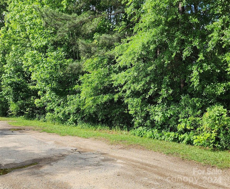 Large wooded lot (1.2 Acres).  This would make a great building lot or it can be divided into two lots.  The property has been surveyed for two lots and could easily be converted.