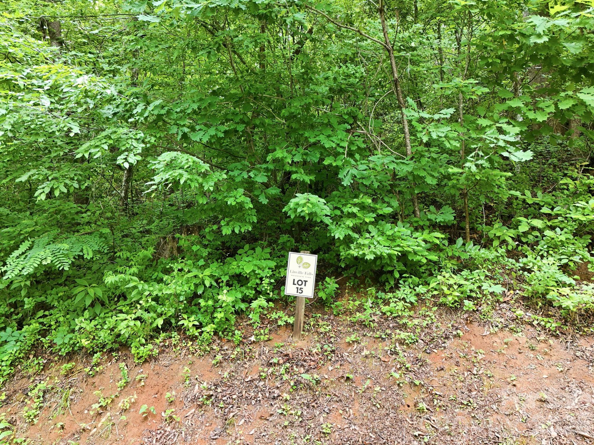 9999 Blue Ridge Drive S