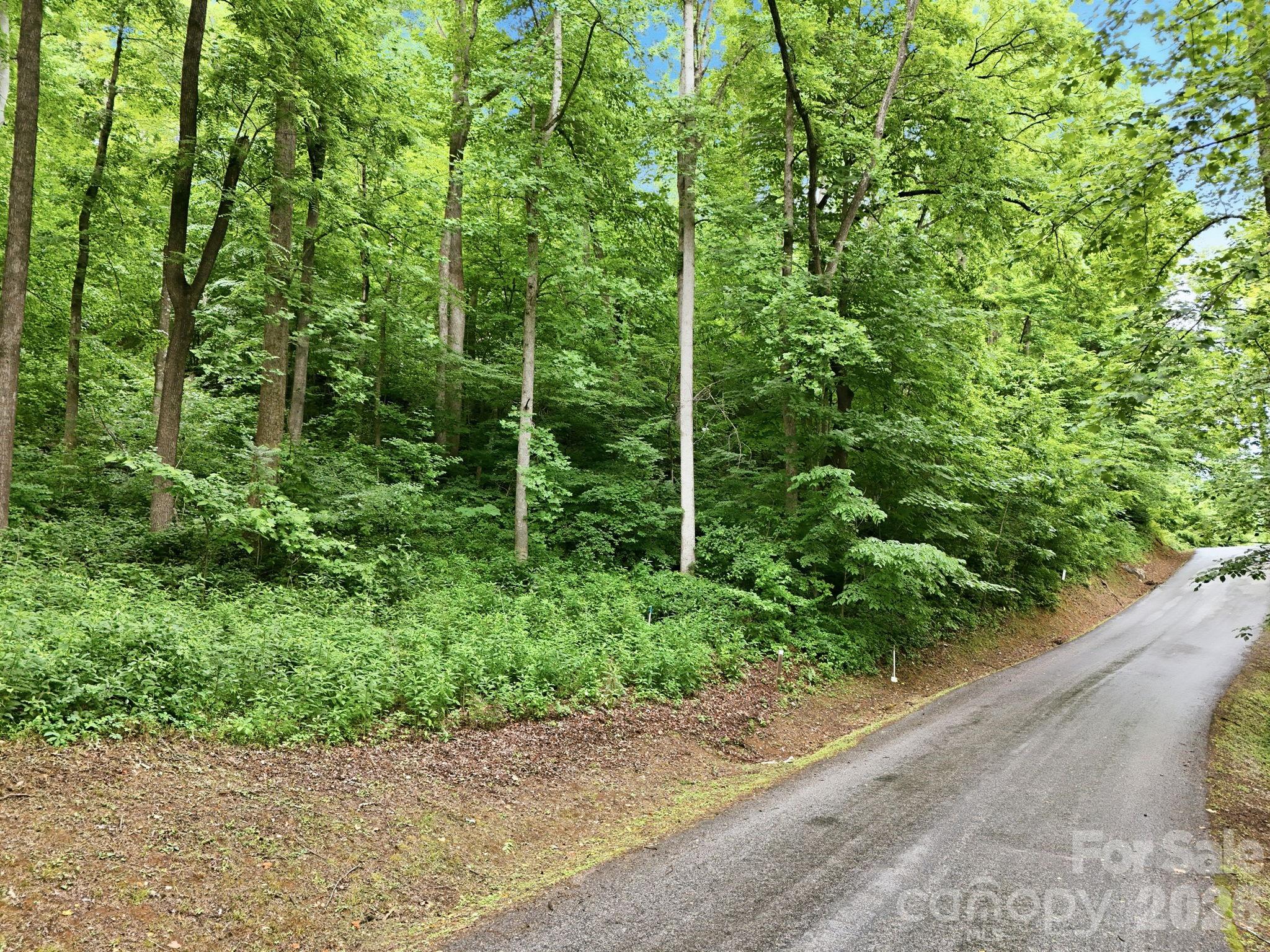 9999 Blue Ridge Drive S