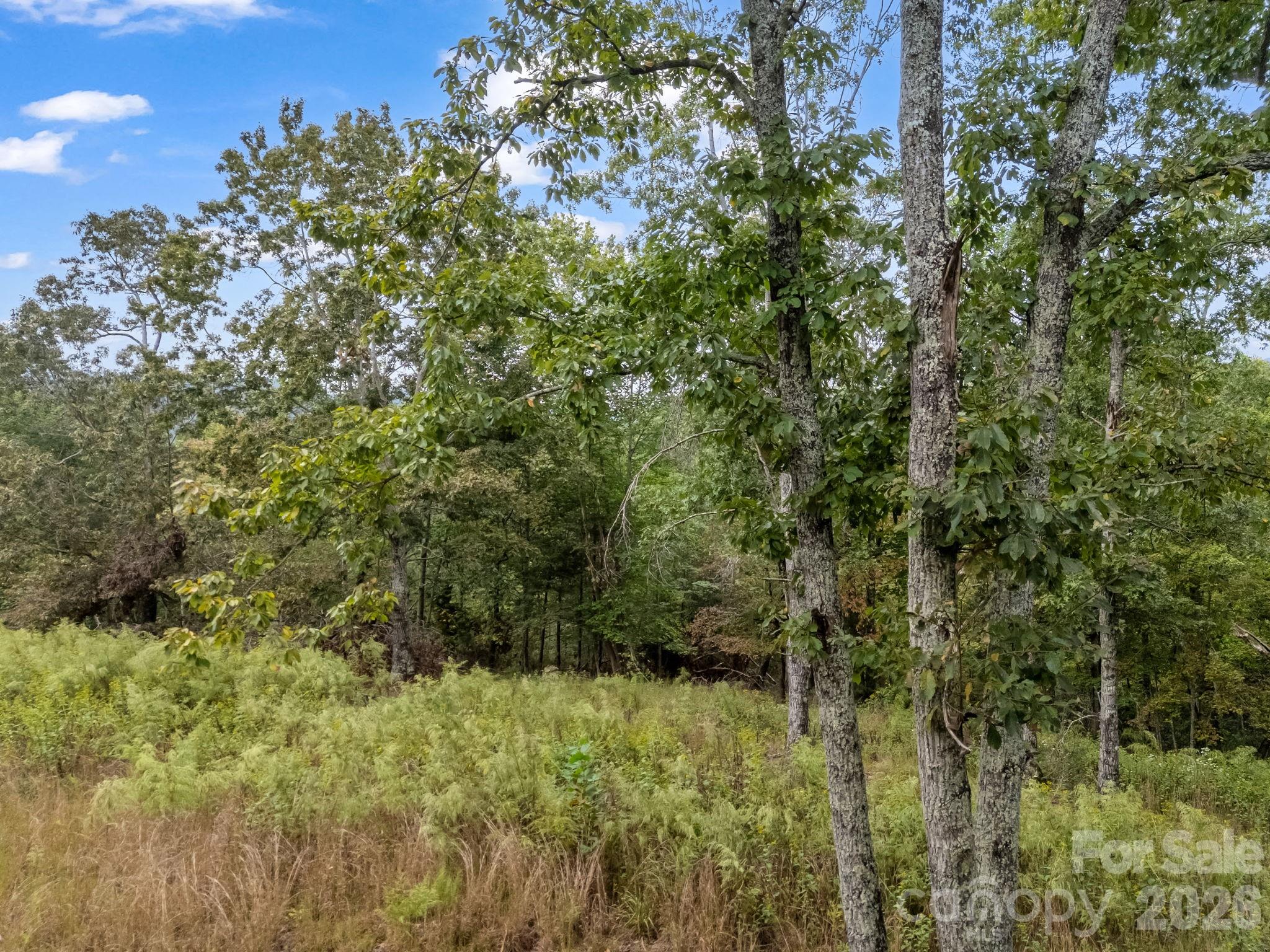 Lake Adger North Highland Farms - Land