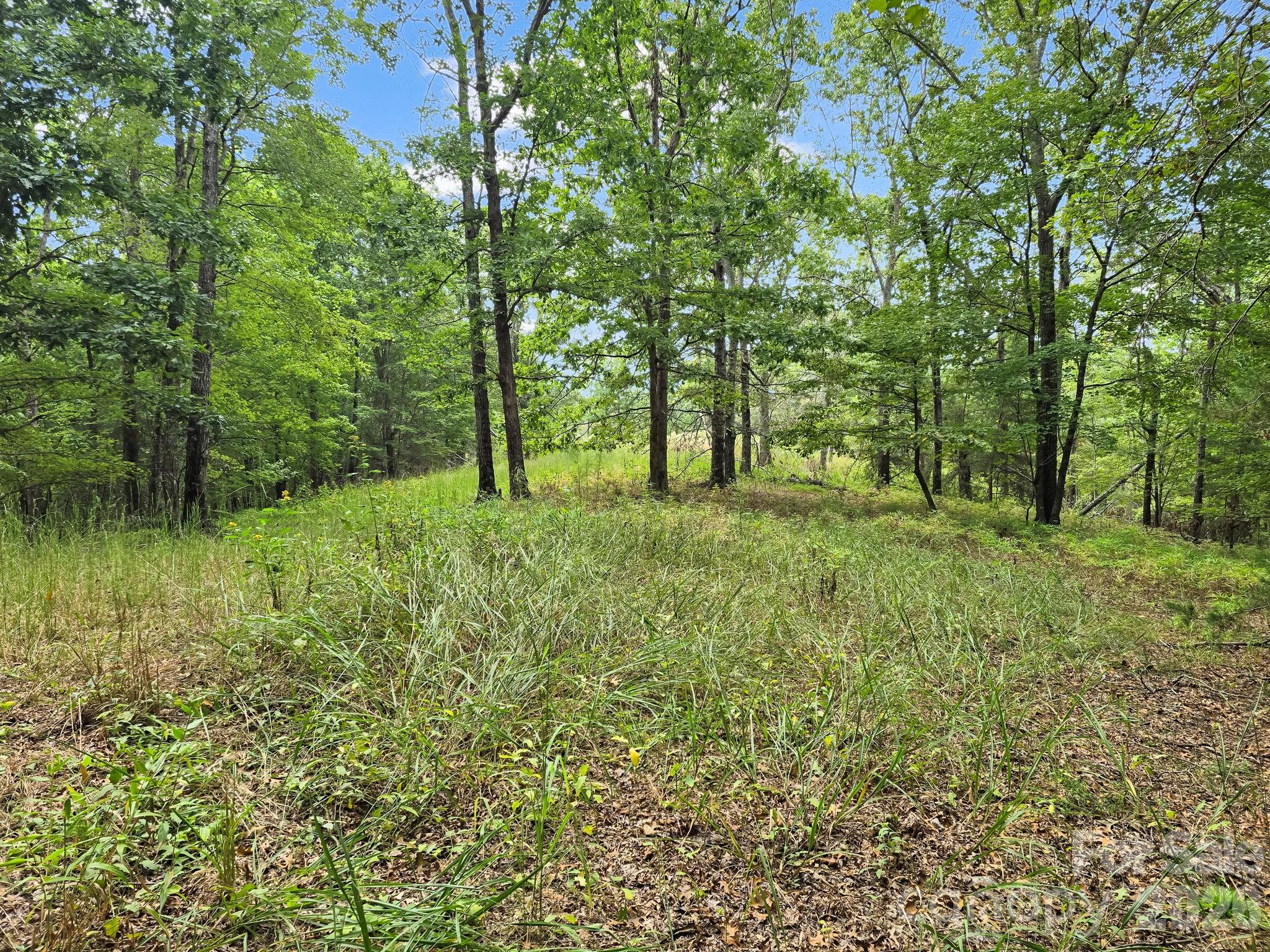 Lake Adger North Highland Farms - Land