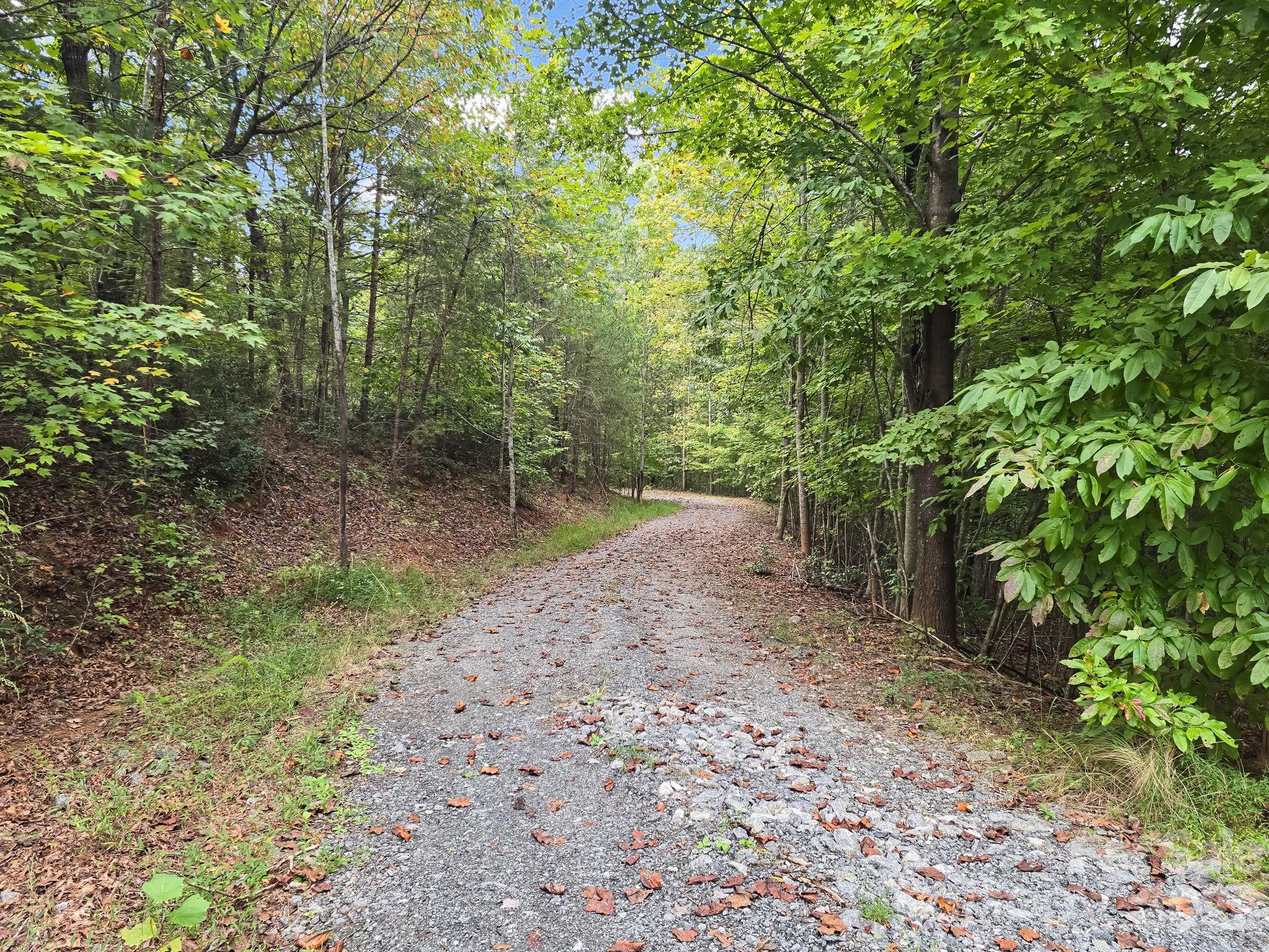 Lake Adger North Highland Farms - Land