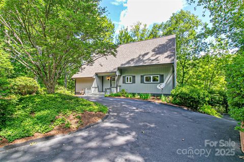 Photo of 263 Ugedaliyvi Court, Brevard, NC 28712 (MLS # 4281622)