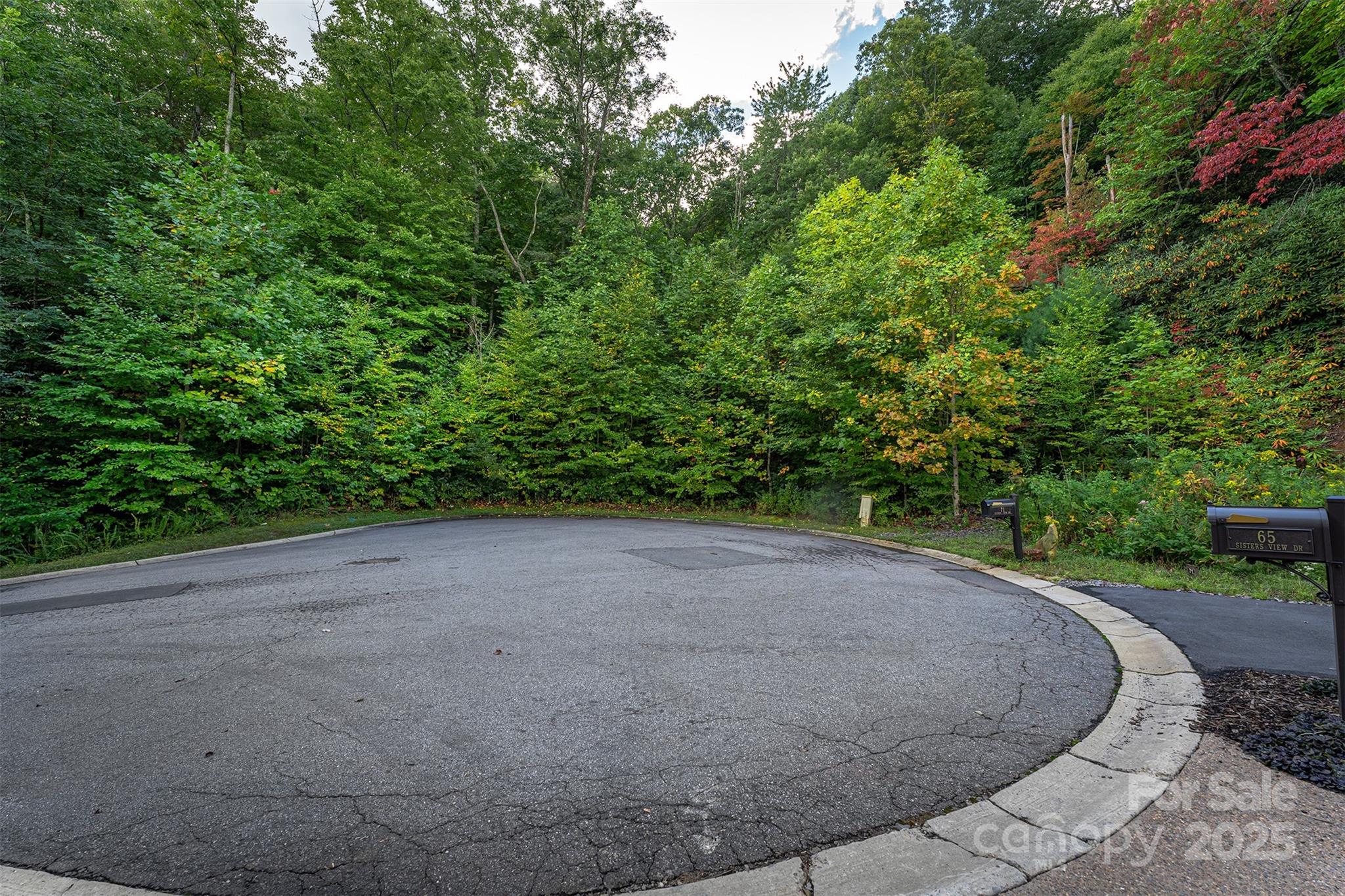 The Settings Of Black Mountain - Land