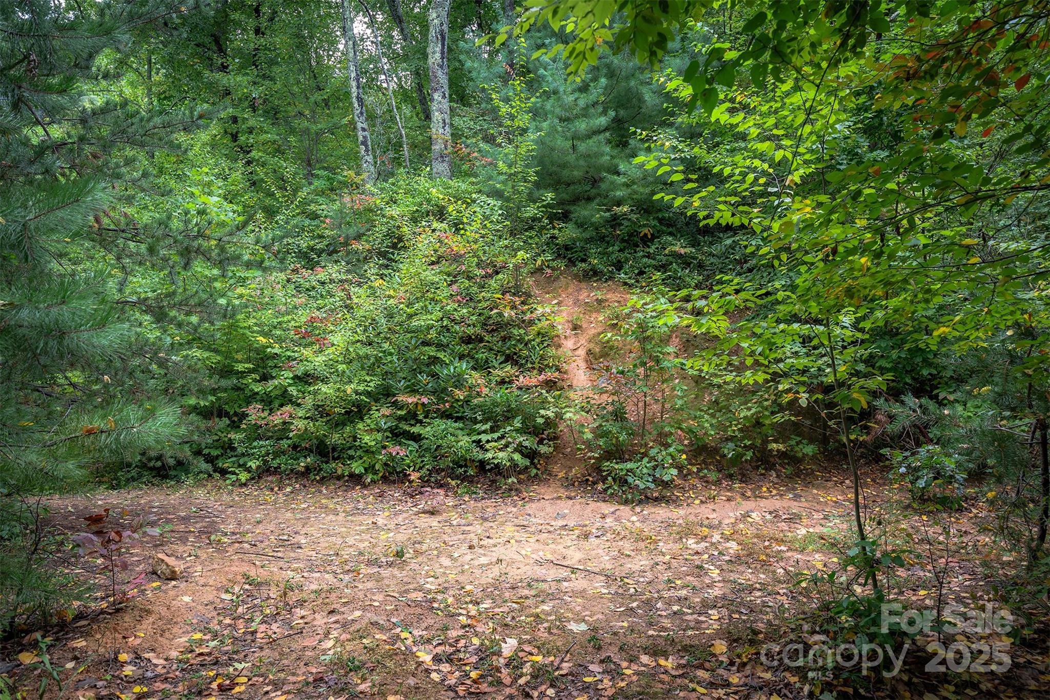 The Settings Of Black Mountain - Land