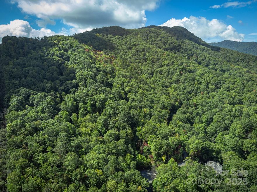 Perched above Black Mountain with commanding views of the storied Seven Sisters, the sweeping Black Mountain Range, and the distant ribbon of the Blue Ridge Parkway, this 10+ acre estate lot offers a front-row seat to the beauty of Western North Carolina. From sunrises spilling over snow-dusted ridgelines to the crystalline sparkle of rime ice in winter, the ever-changing panorama is nothing short of breathtaking. Rarely does a property combine this level of natural drama with such easy access—just minutes from downtown Black Mountain’s charming restaurants, boutique shops, golf course, fitness options, and medical care.

Originally created as one of four premier ‘Grand Estate’ lots within the gated community of The Settings, this parcel blends seclusion, security, and convenience. Multiple prominent building sites provide flexibility for crafting a private estate or legacy retreat, supported by underground utilities and high-speed fiber optics for modern living. The community enhances the experience with gardens, a welcoming clubhouse, and miles of walking and hiking trails woven into the landscape. Here, timeless mountain beauty meets everyday convenience, offering a rare opportunity to create a home and lifestyle as expansive as the views themselves.