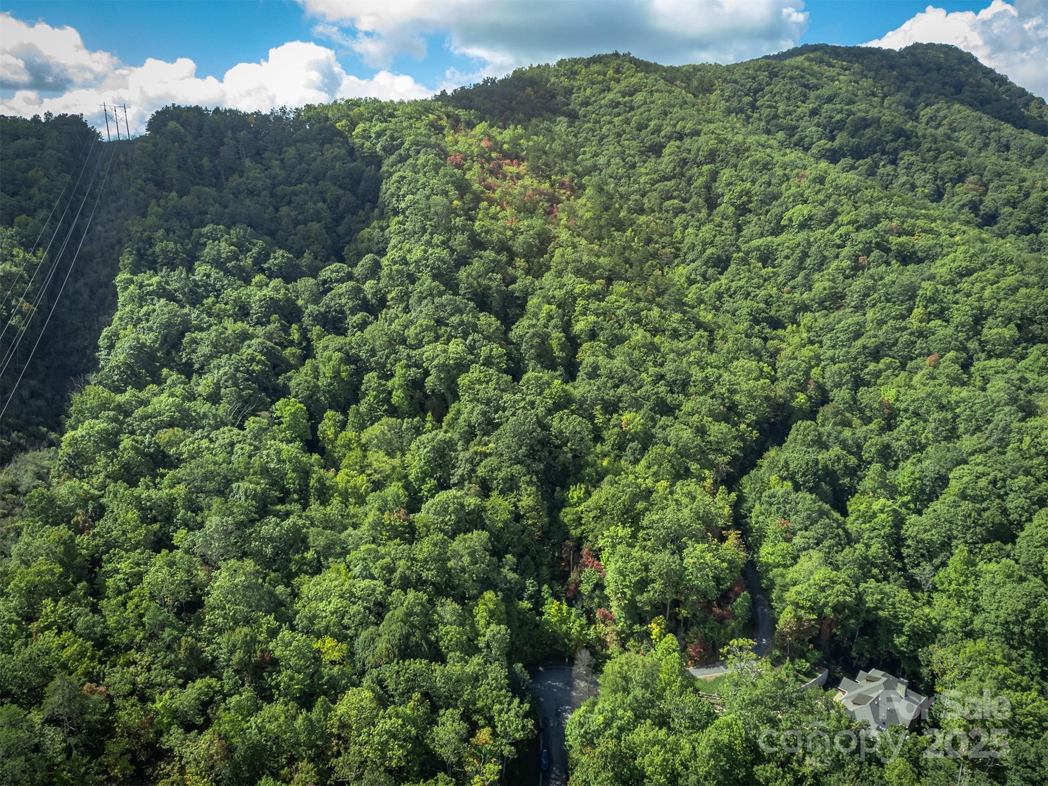 The Settings Of Black Mountain - Land