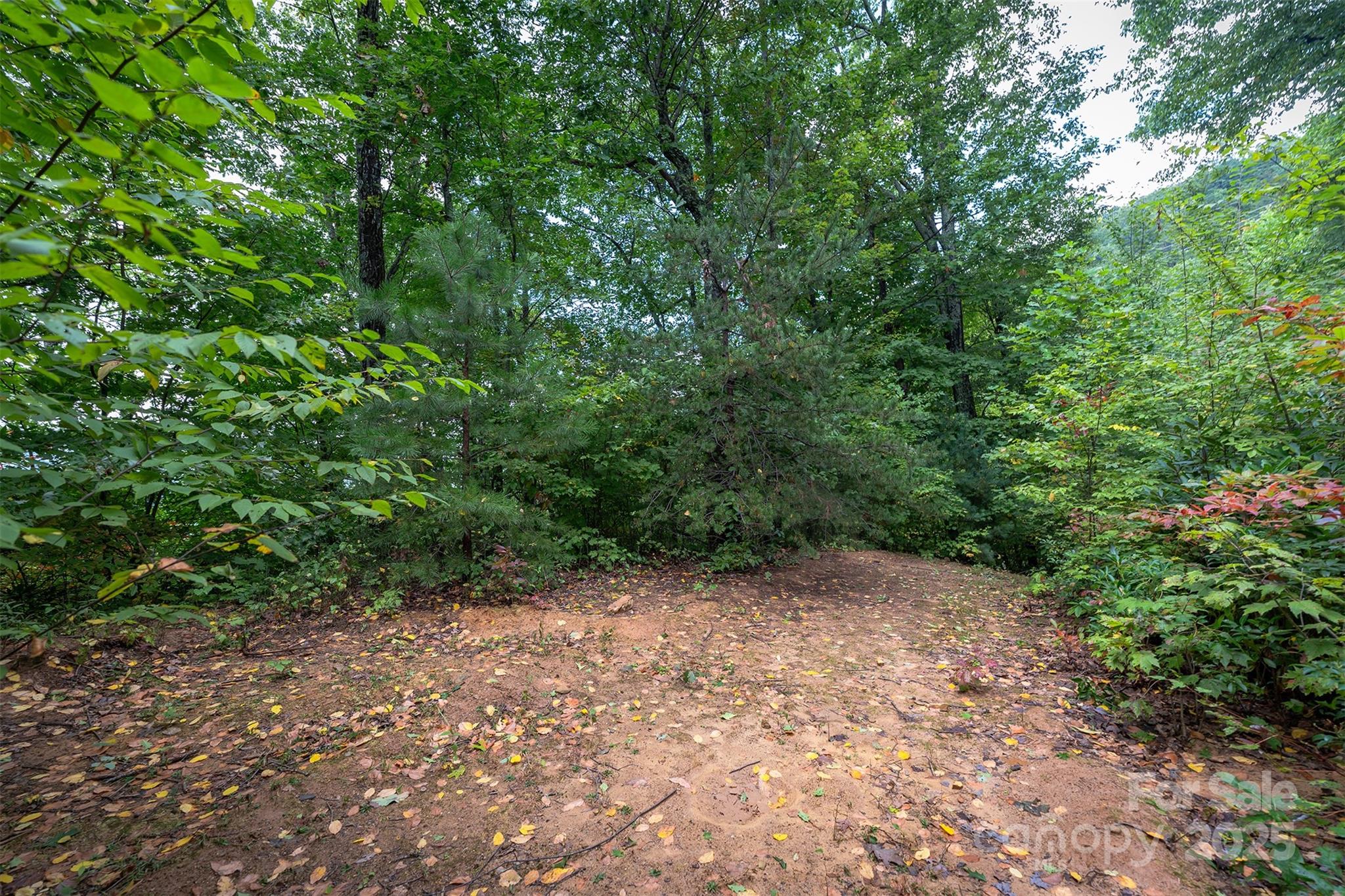 The Settings Of Black Mountain - Land