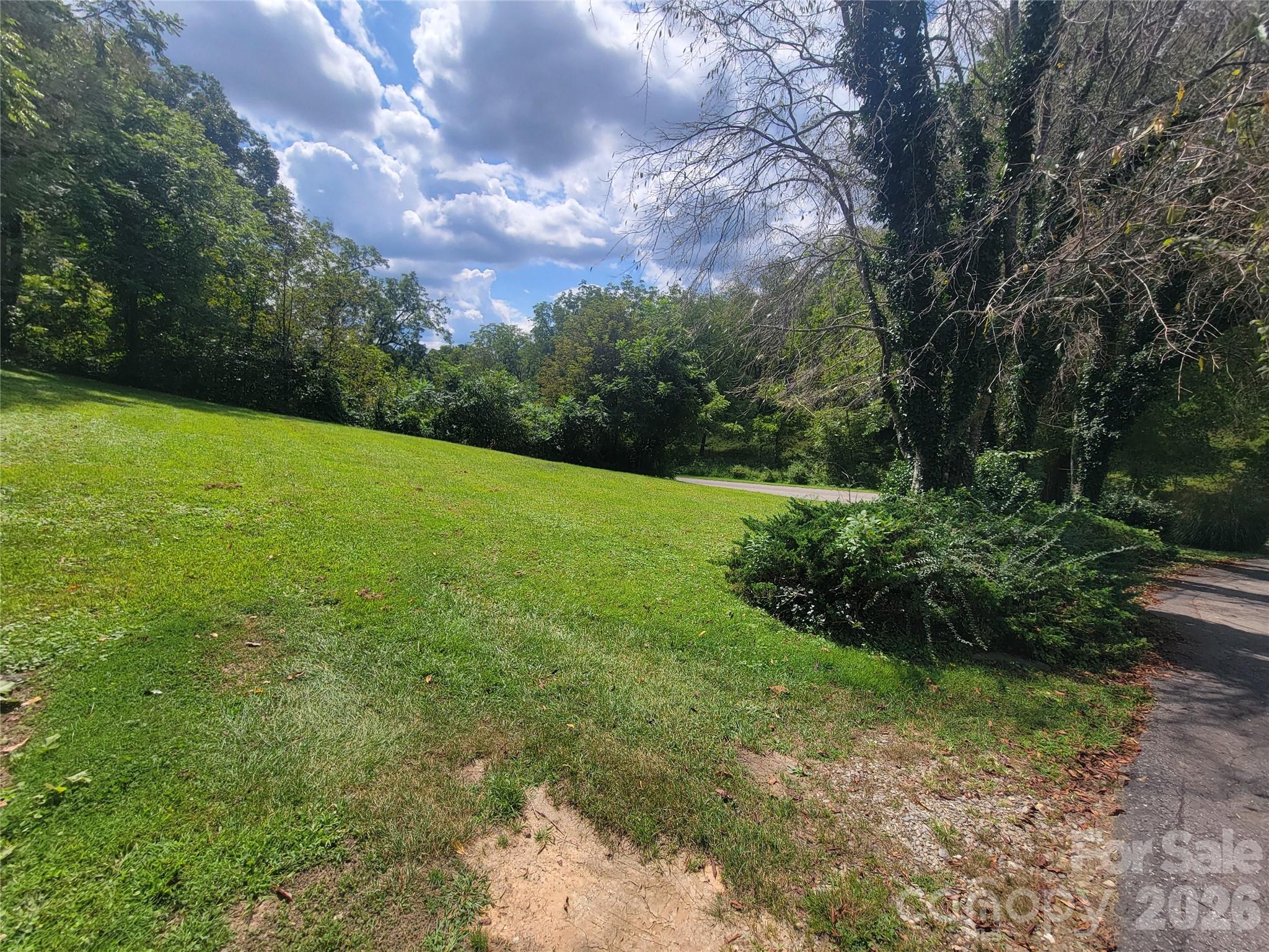 204 Kudzu Loop