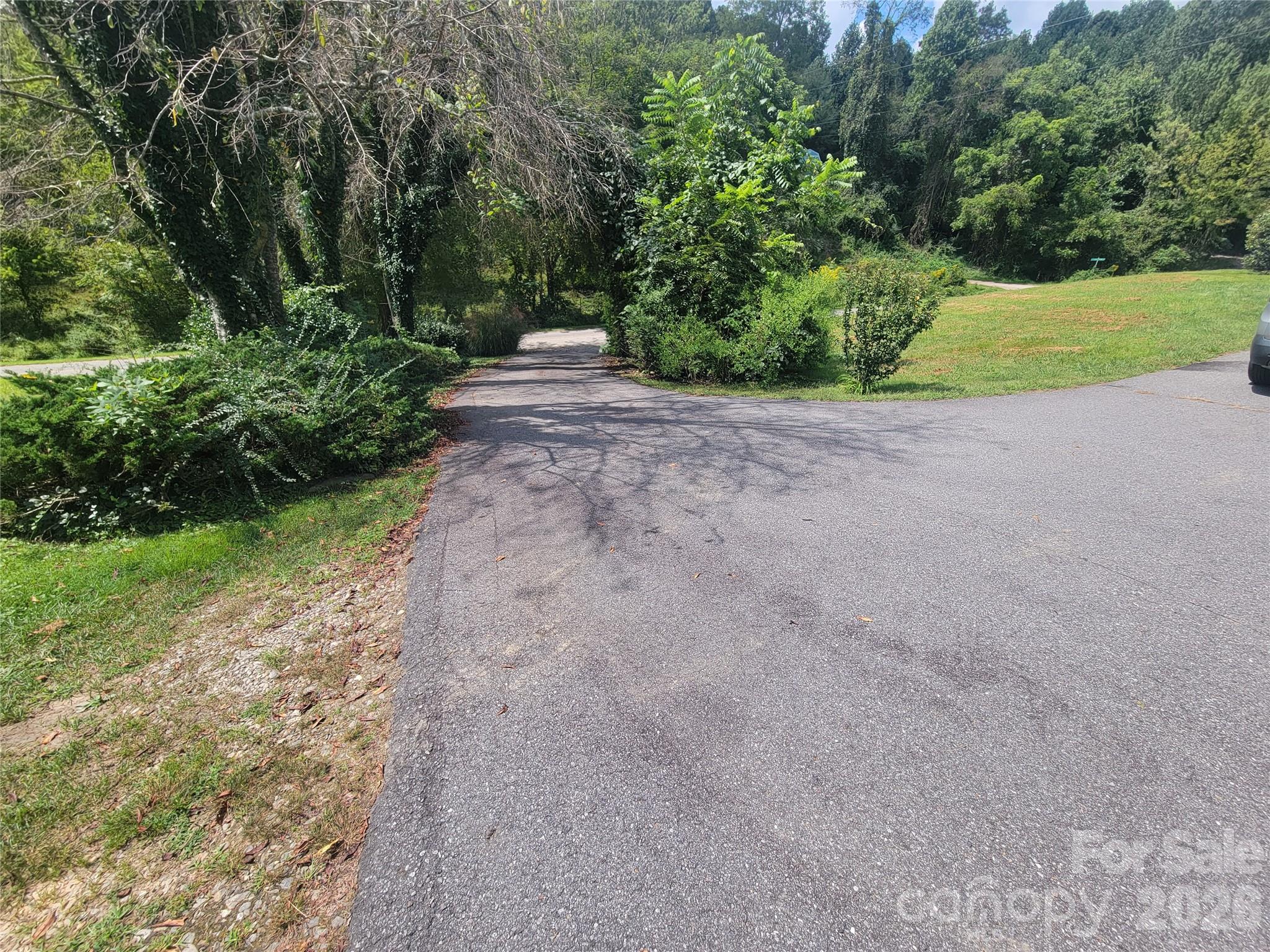 204 Kudzu Loop
