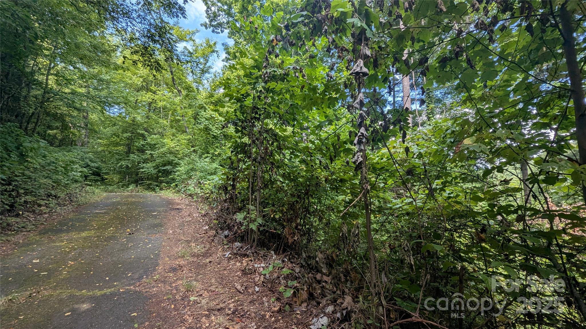 Chestnut Walk - Land