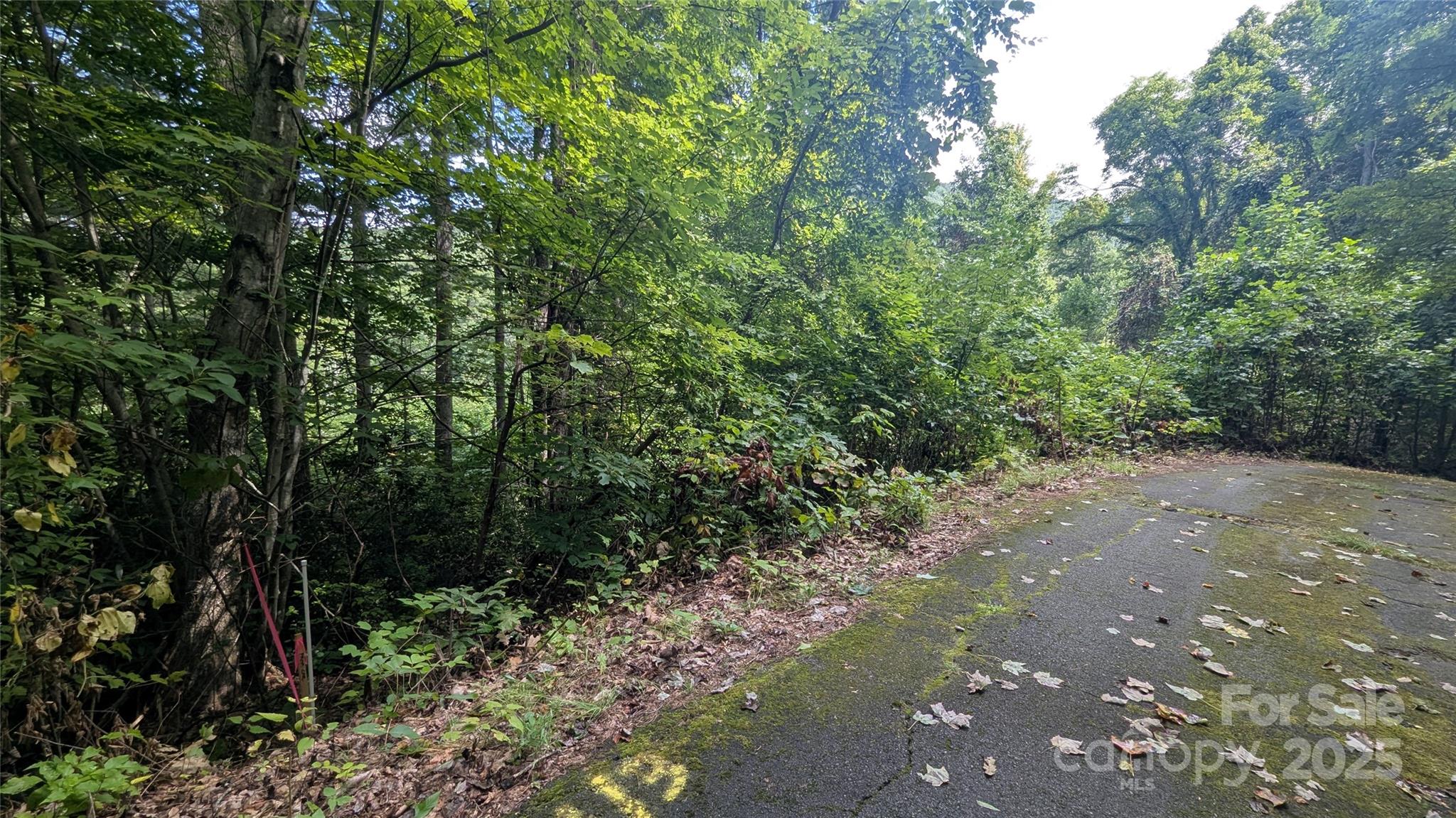 Chestnut Walk - Land