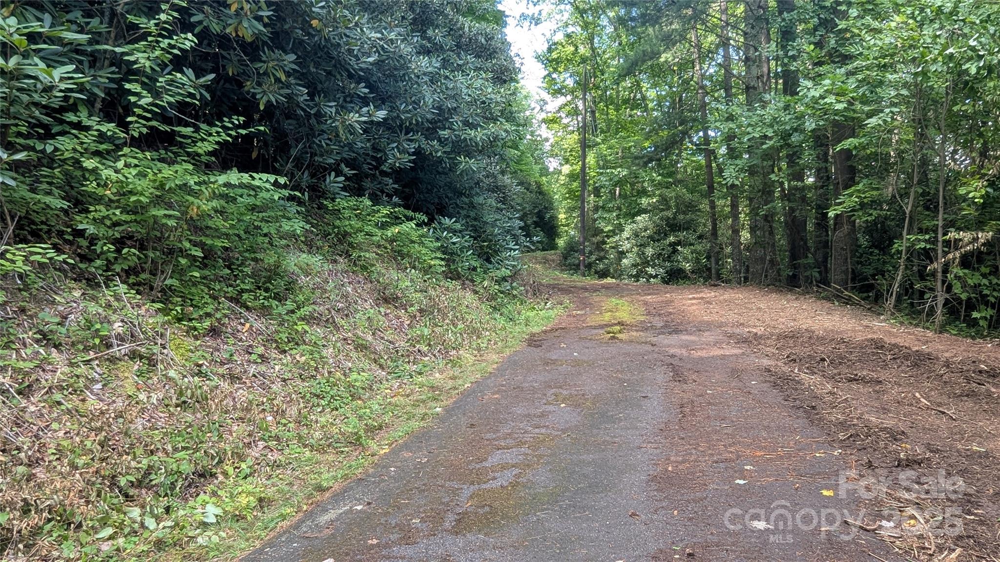 Chestnut Walk - Land