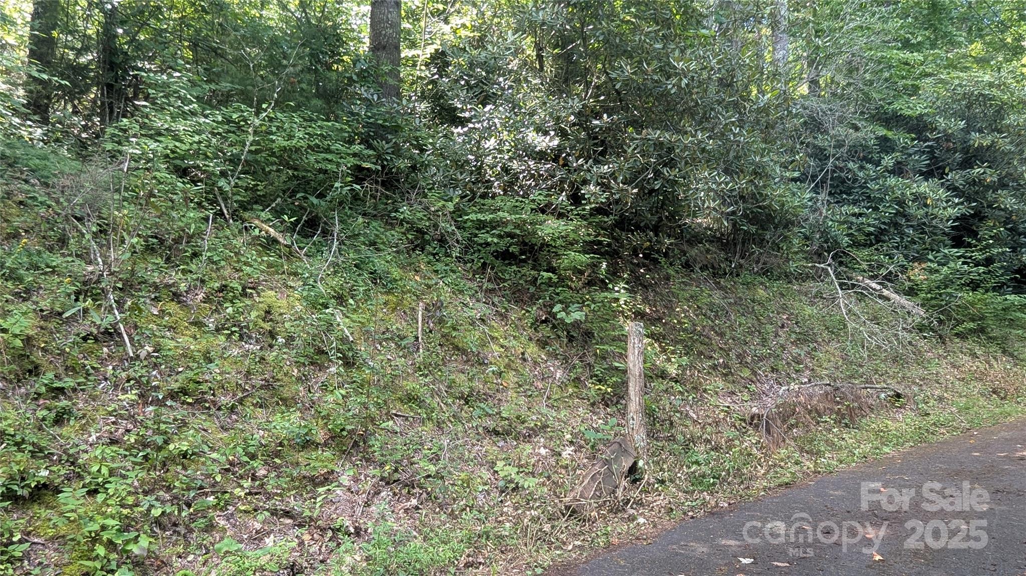 Chestnut Walk - Land