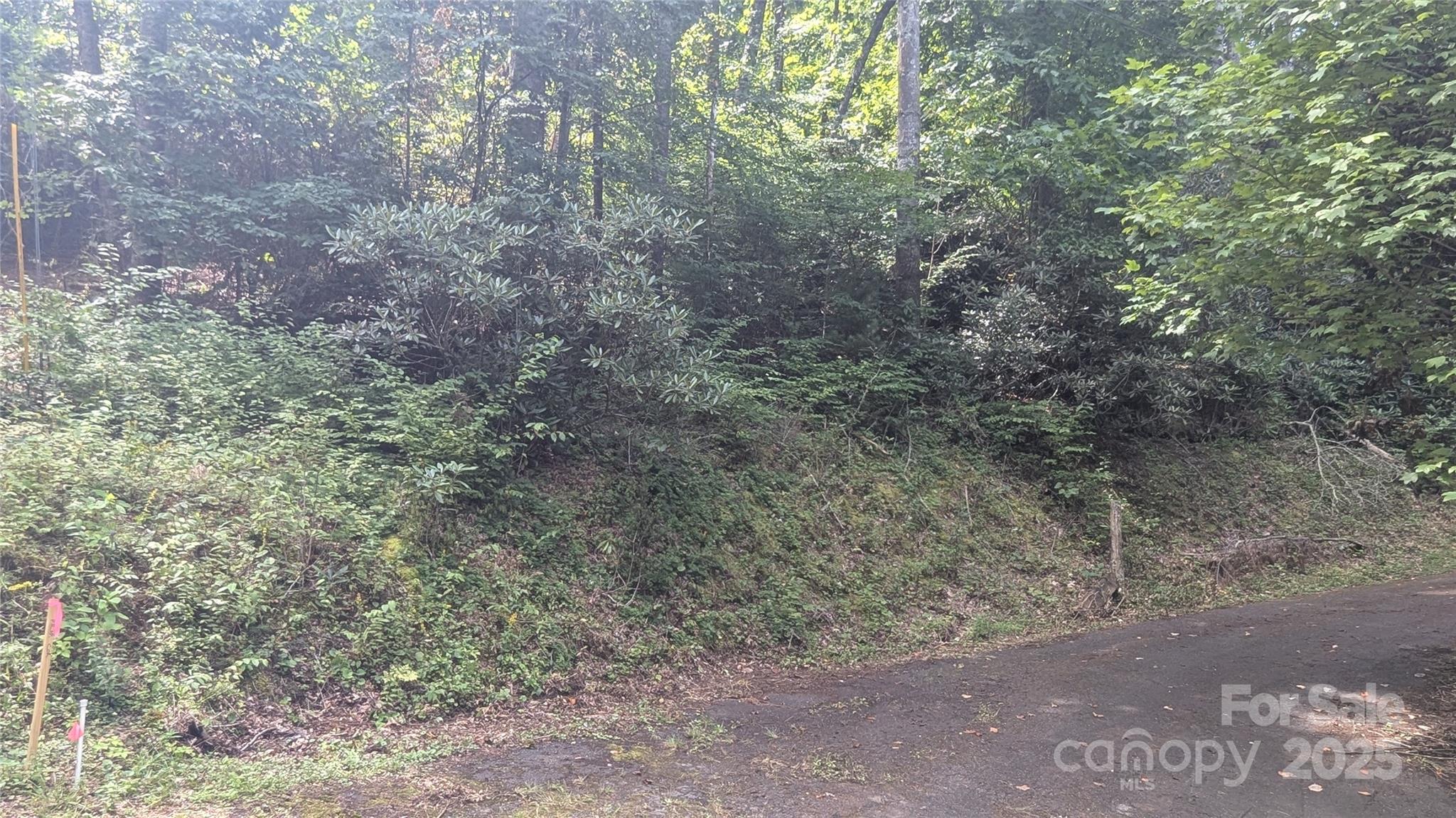 Chestnut Walk - Land