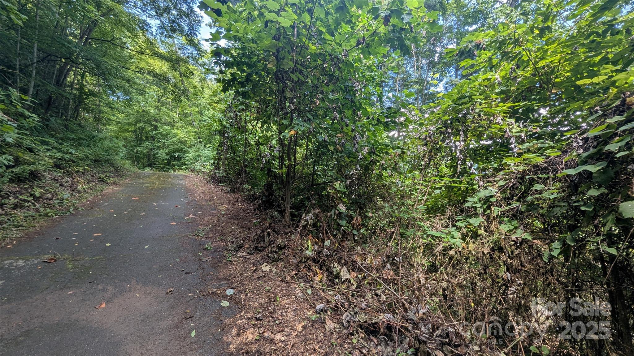 Chestnut Walk - Land