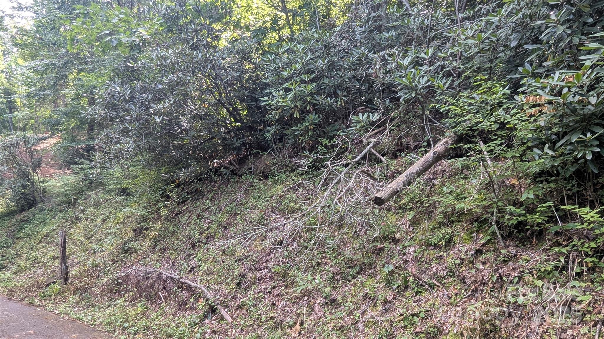 Chestnut Walk - Land