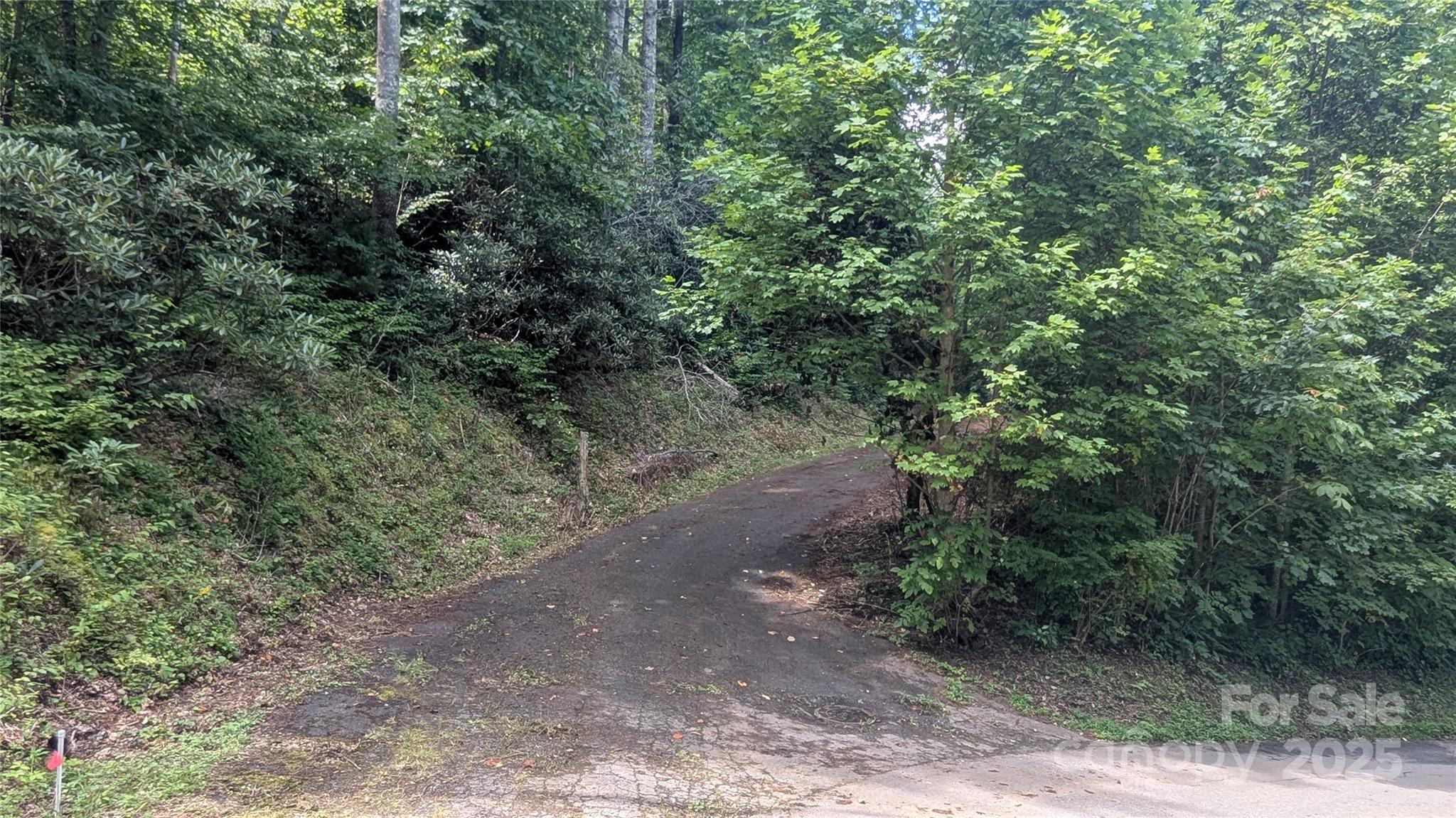 Chestnut Walk - Land