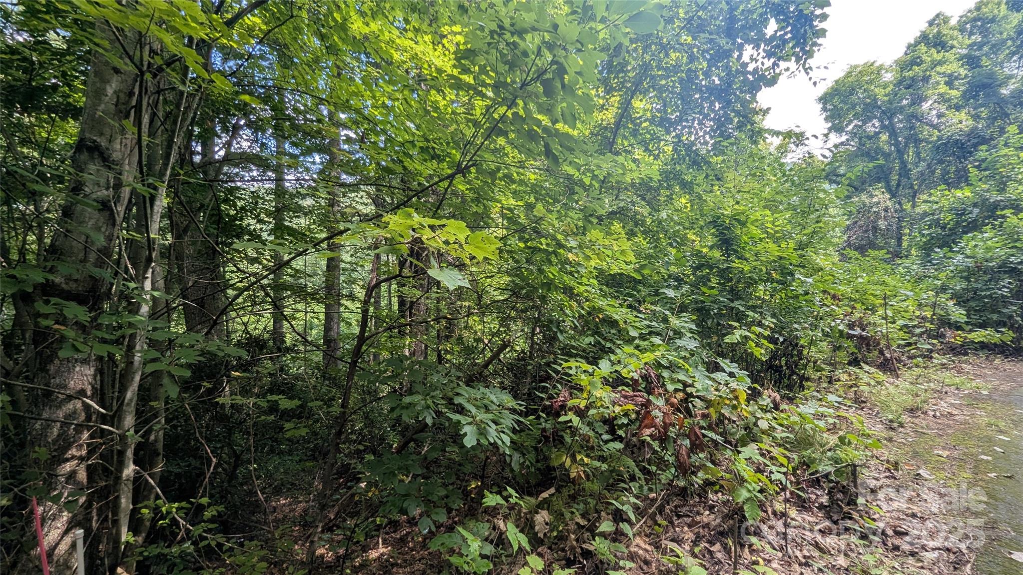 Chestnut Walk - Land