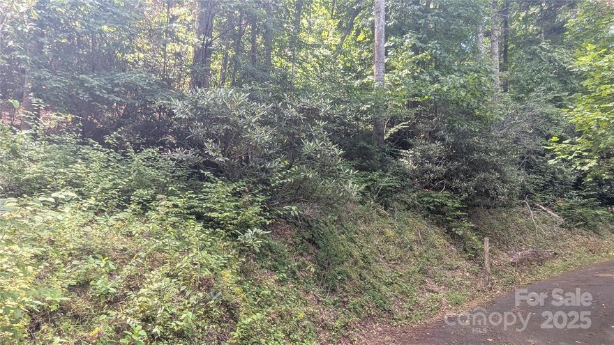 Build your dream home just minutes from downtown Waynesville on 0.2874-acre lot with city water and sewer available in Phase 1 of Chestnut Walk Subdivision! Enjoy the convenience of paved roads and easy access while being only a short drive to shopping, dining, and all the charm Waynesville has to offer. This homesite should make construction simple and cost-effective, offering an ideal opportunity for a primary residence, second home, or investment property. Rarely do lots with this combination of location, utilities, and accessibility come on the market with the availability of city water and city sewer.