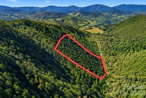 1930 BALL BRANCH RD, BOONE, NC 28607 - Image 65ac8461a98e96acebd2d00c0082938d/649123926