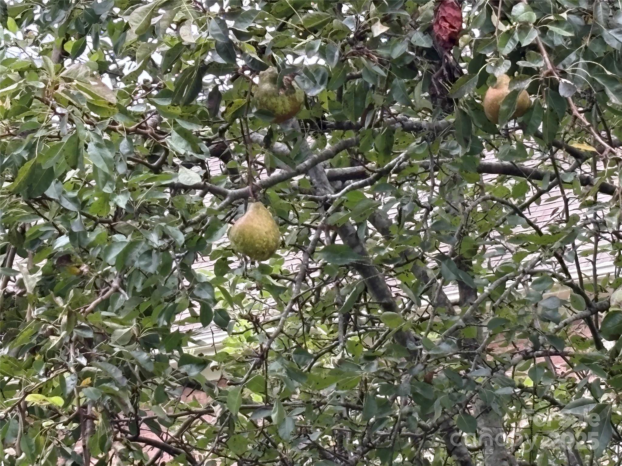 Huntington Farms - Residential