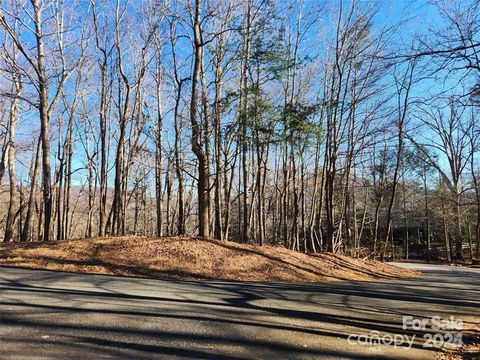 Photo of Lot 218 Bolt Road, Lake Lure, NC 28746 (MLS # 4308823)