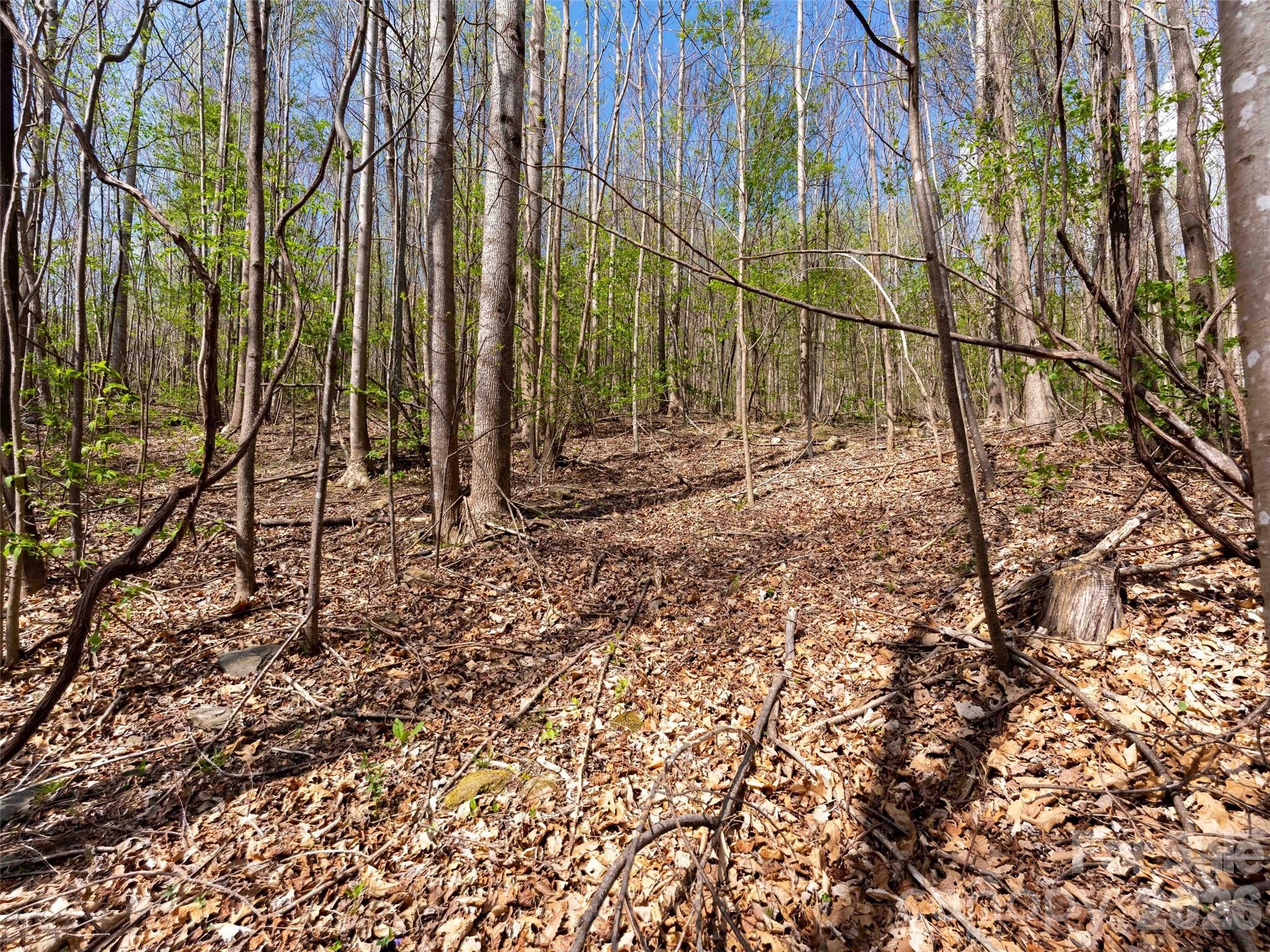 Lot 196 Cherry Hill 196