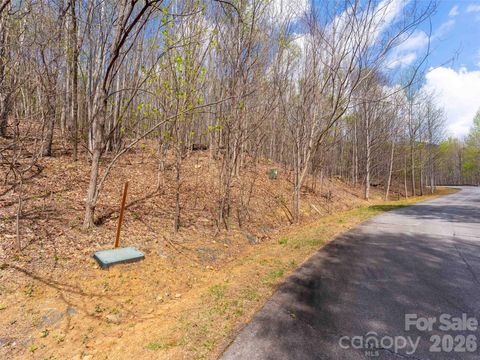 Lot 196 Cherry Hill 196 Mill Spring NC 28756