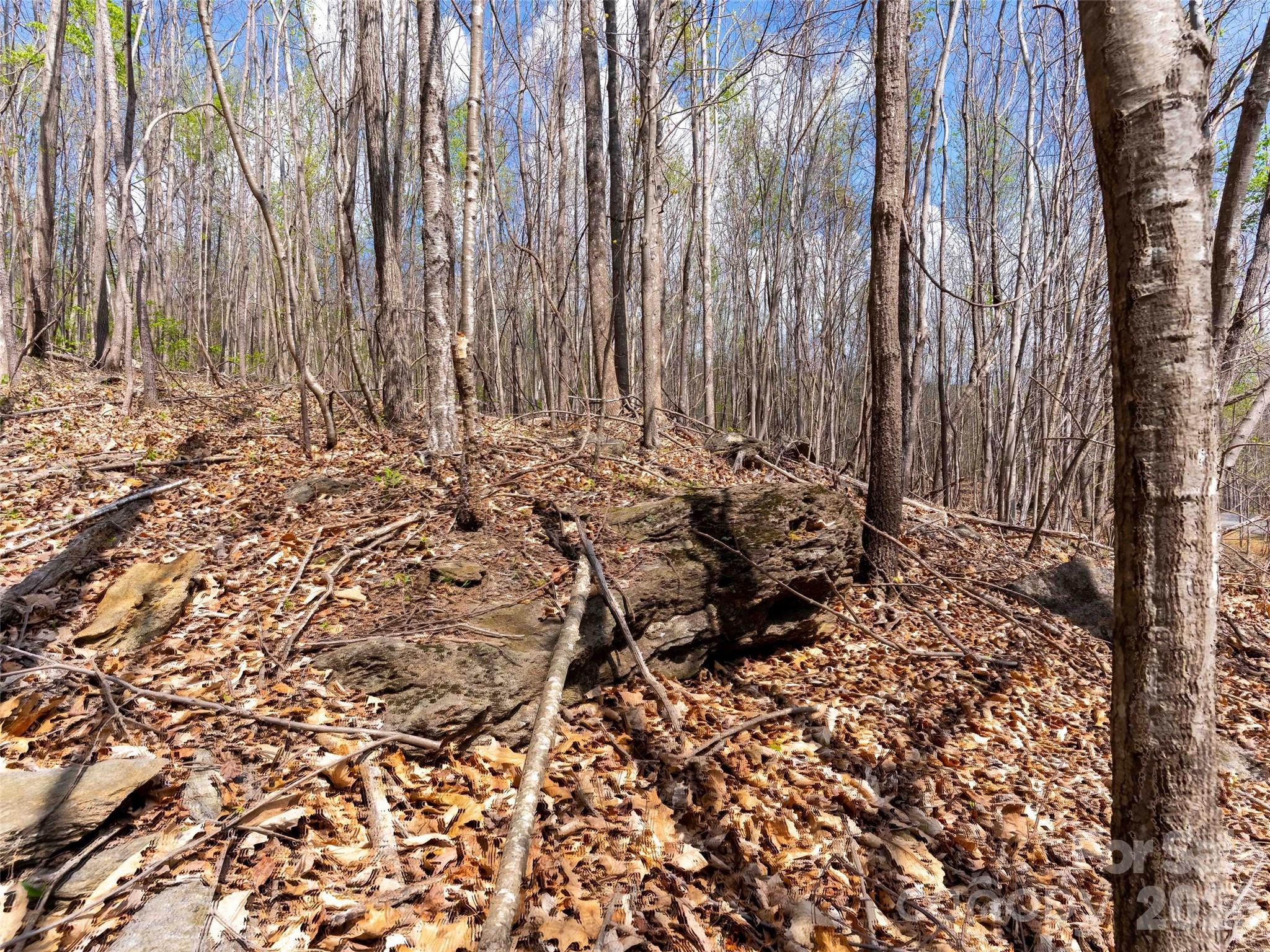 Lot 196 Cherry Hill 196