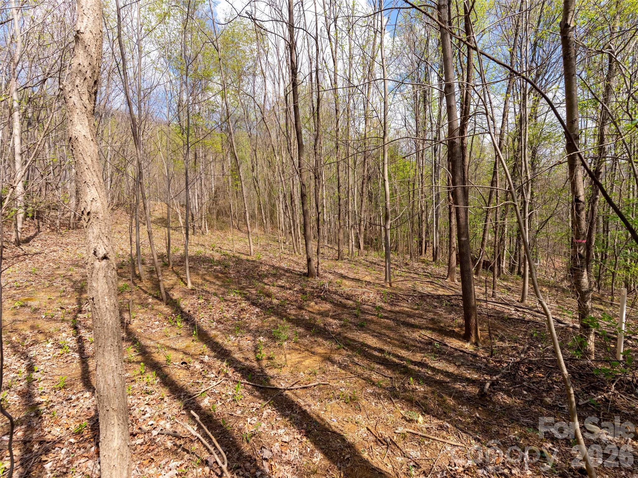 Lot 196 Cherry Hill 196