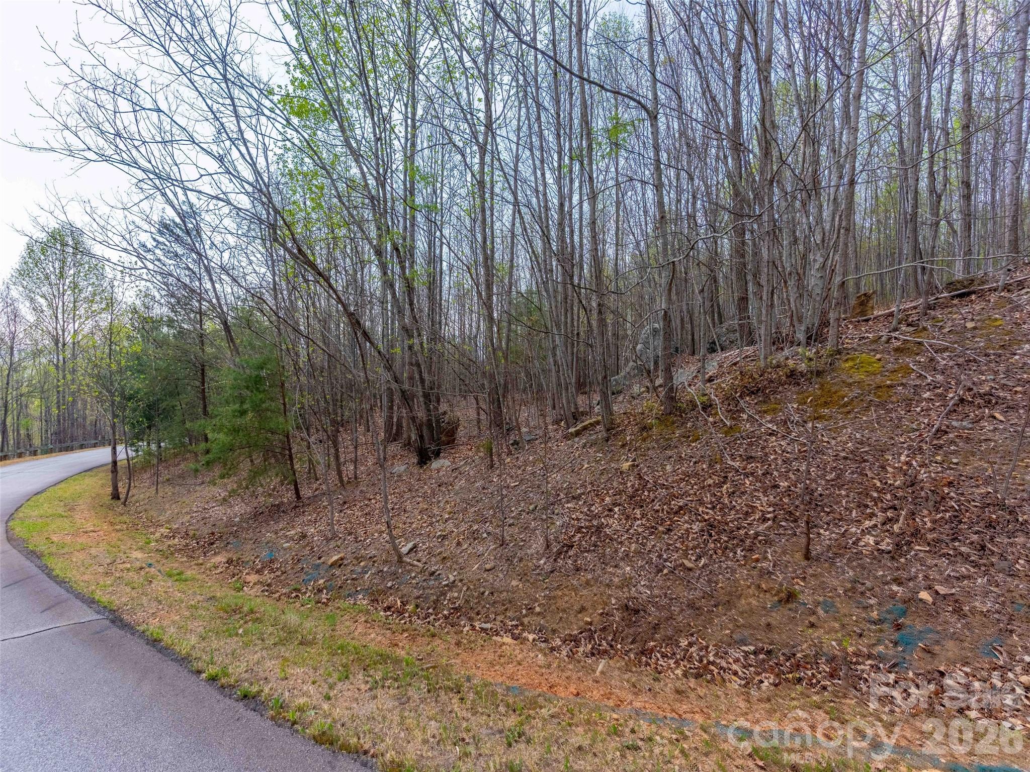 Brights Creek - Land