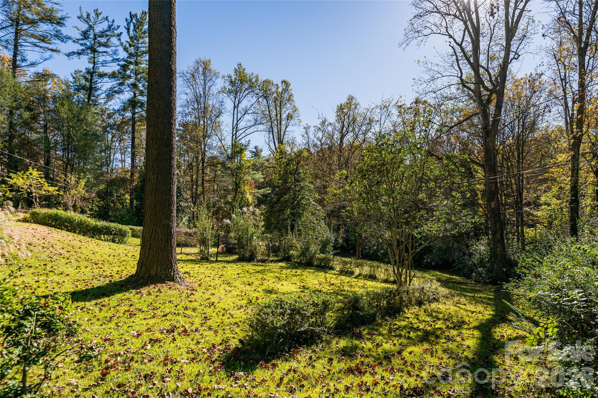 Biltmore Forest - Residential