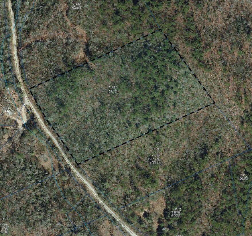 Adjoining Pisgah National Forest, this unrestricted 13+/- acre wooded tract with bold stream offers many possibilities.  Suitable for a private estate or mountain get away.  Bold spring on property.  Includes 2 PINS! Road roughed into best building site.  Mountain views!