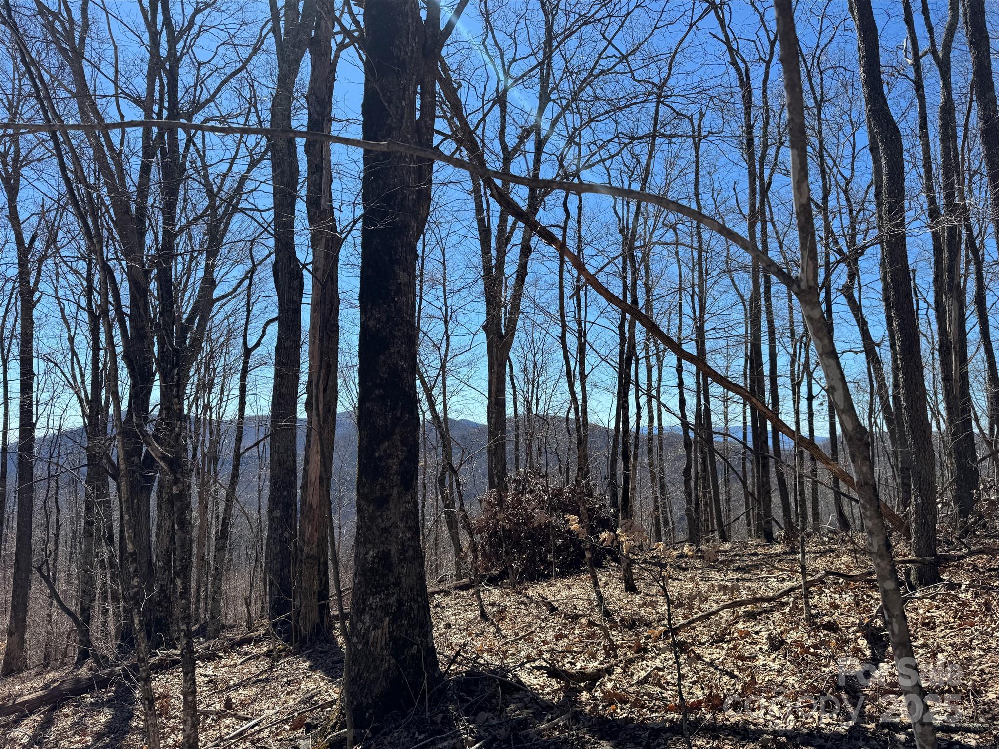 TBD Doublehead Mountain Road