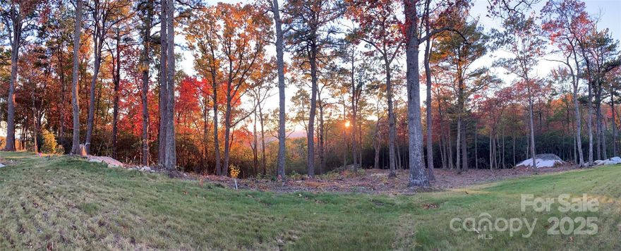 This gorgeous southwest-facing lot offers long-range mountain views, lots of natural light, potential energy savings in winter, privacy from mature hardwood trees that back up to conserved land, and stunning sunsets. 3 unique rock formations: incorporate into your driveway entry, landscaping or your home. Has been cleared for sitework to begin. Soil testing completed. Approved for 4-bedroom septic. A gentle slope that can accommodate a walkout-basement, crawl space or single level design. 2 foot topo survey. Chickens/bees allowed.  Underground power in place. Located between Asheville and Hendersonville, offering access to dining and activities. Community includes 138 acre nature preserve, private hiking trails, mountain top park, community gardens,  greenhouse, veggie stand and apiaries.