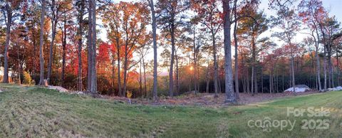 0 Mountain Grove Lane 48 Fletcher NC 28732