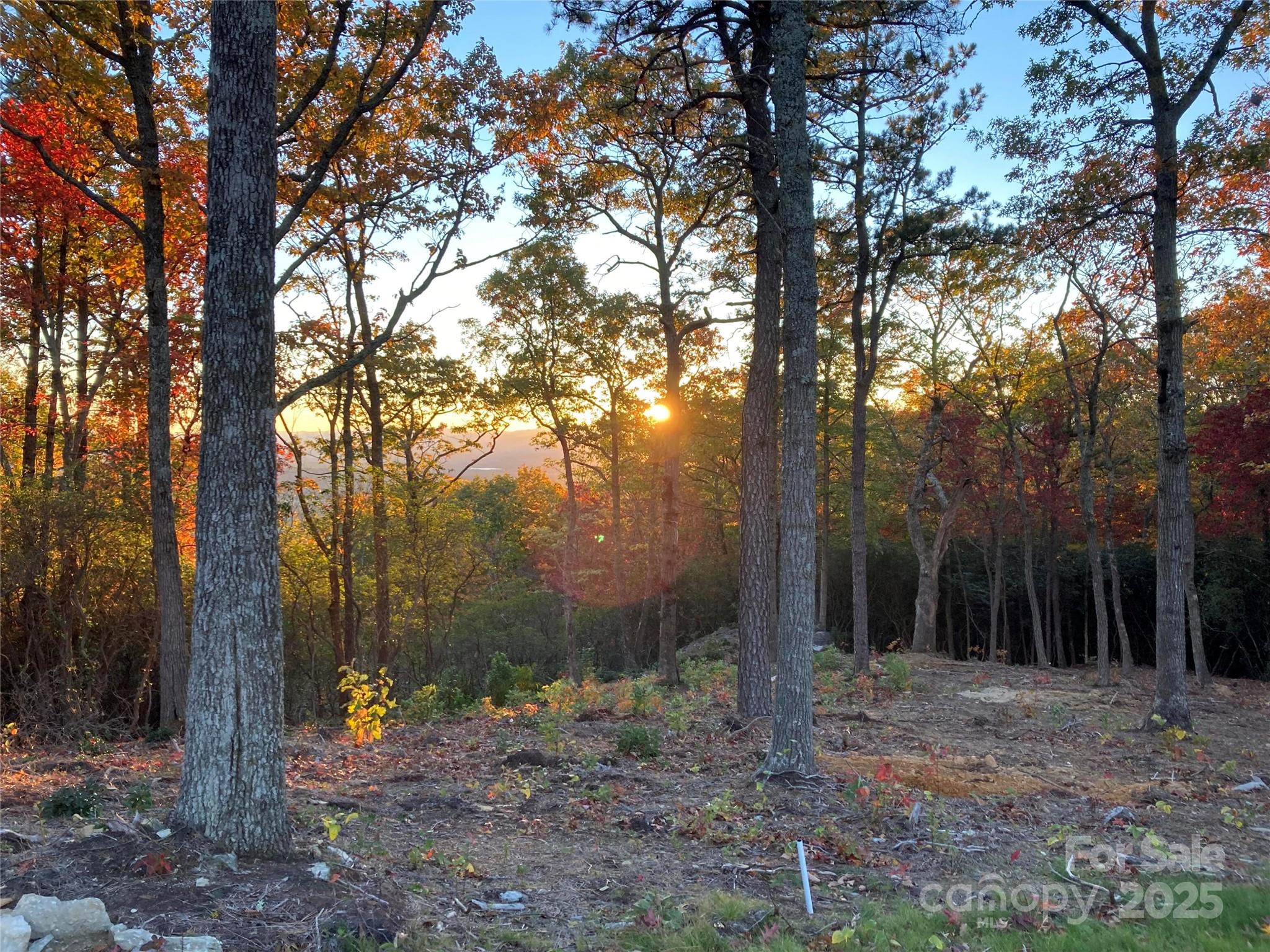 0 Mountain Grove Lane 48