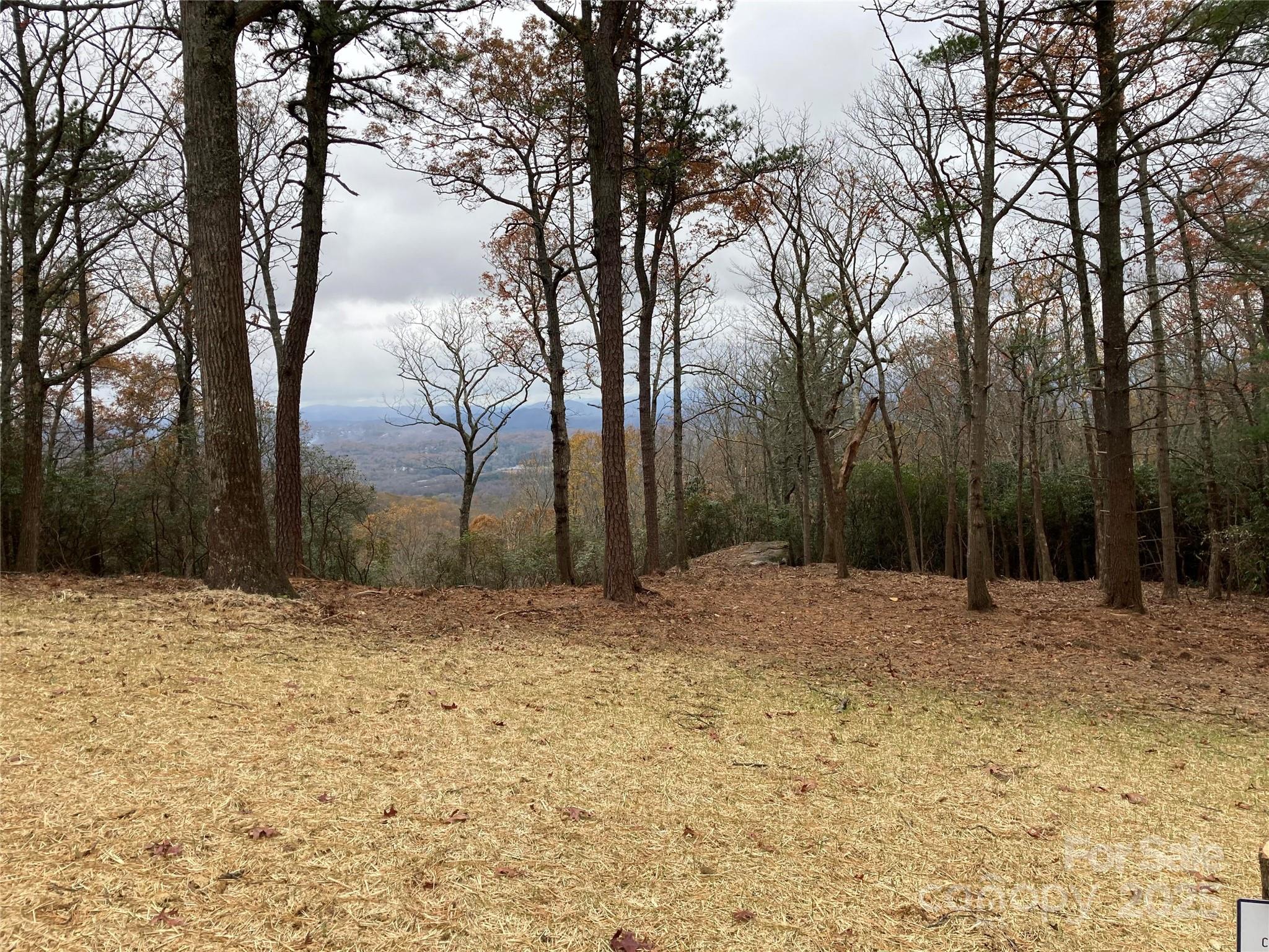 0 Mountain Grove Lane 48